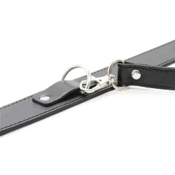 Generique Collier Laisse Premium